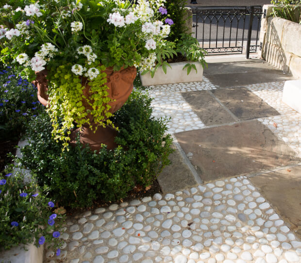 Front Garden Richmond - thumbnail