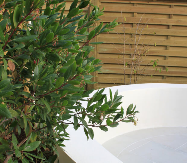 Muswell Hill 1 - thumbnail