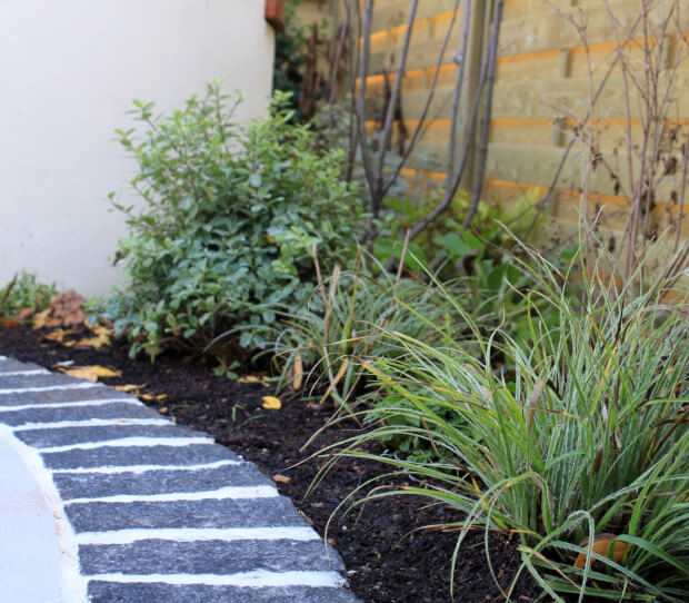 Muswell Hill 9 - thumbnail