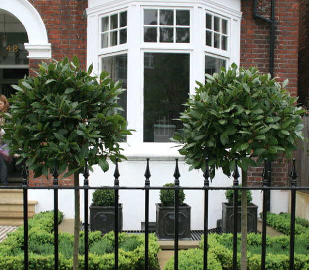Putney SW15 Front Garden landscaping - thumbnail