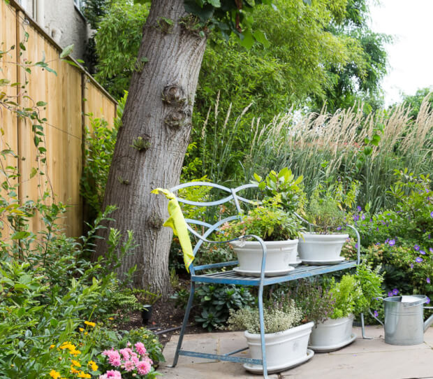 Wimbledon Large Family Garden - thumbnail