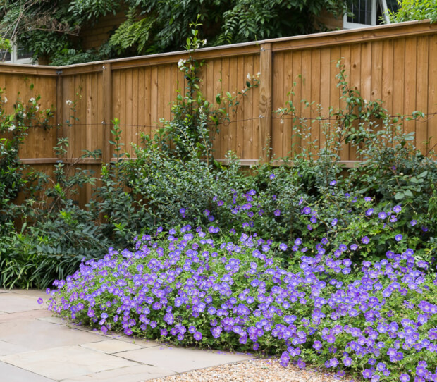 Wimbledon Large Family Garden - thumbnail