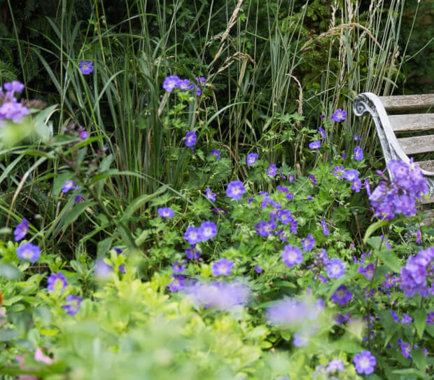 Wimbledon Large Family Garden - thumbnail