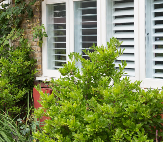 Wimbledon Large Front Garden - thumbnail