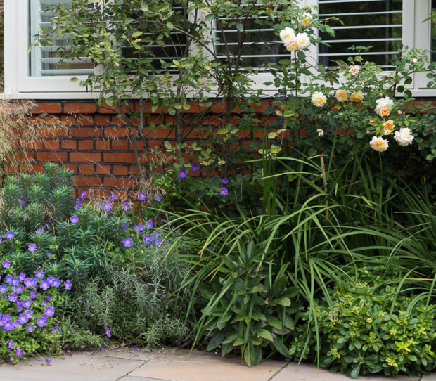 Wimbledon Large Front Garden - thumbnail