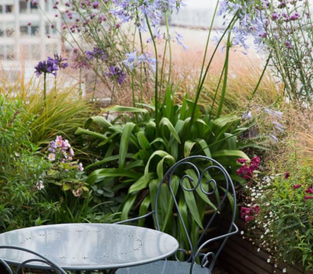 Mayfair Large Exclusive Roof Garden - thumbnail