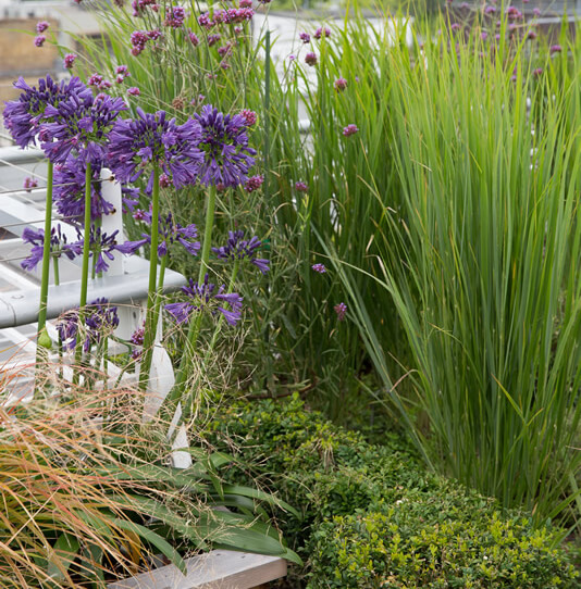 Mayfair Large Exclusive Roof Garden - thumbnail