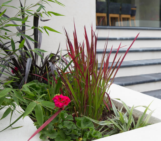 Highgate Large Garden - thumbnail