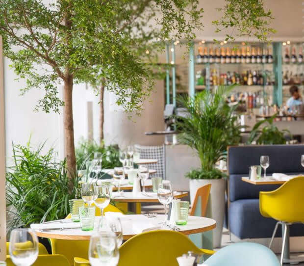 Kensington Place Restaurant - thumbnail