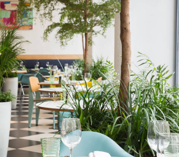 Kensington Place Restaurant - thumbnail