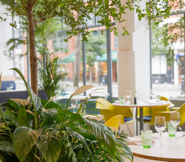 Kensington Place Restaurant - thumbnail