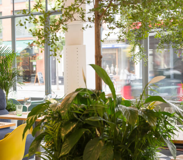 Kensington Place Restaurant - thumbnail