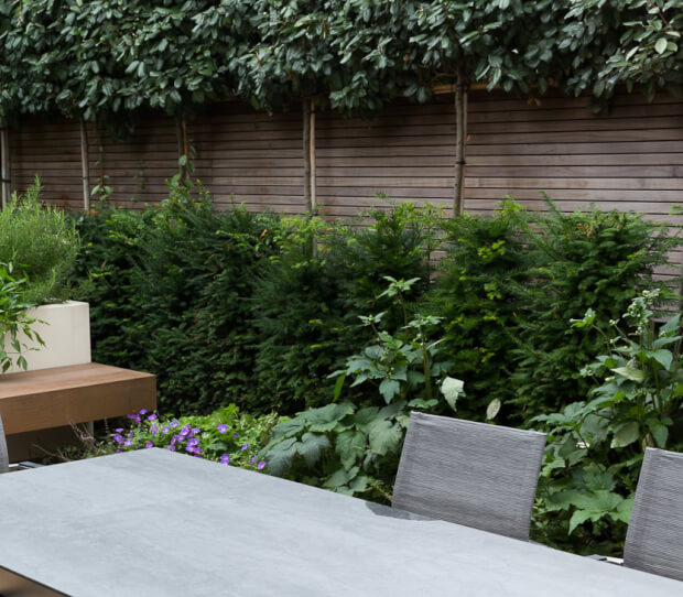 Wimbledon Village Large Family Garden - thumbnail