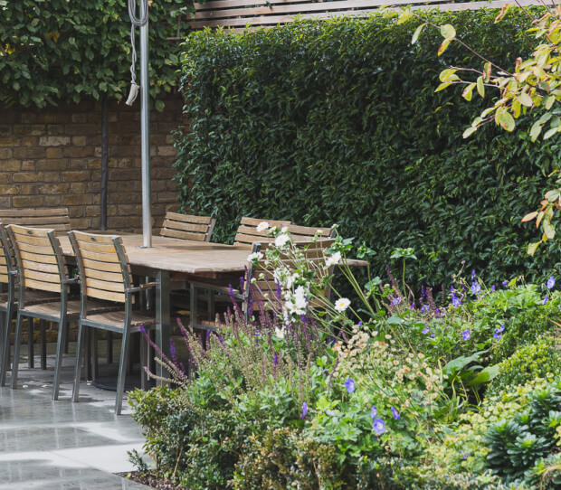 Tooting Urban Garden - thumbnail