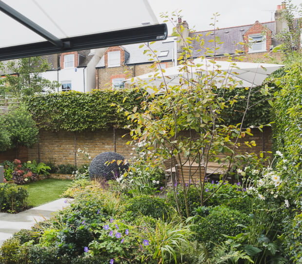 Tooting Urban Garden - thumbnail