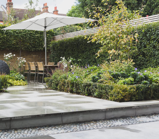 Tooting Urban Garden - thumbnail