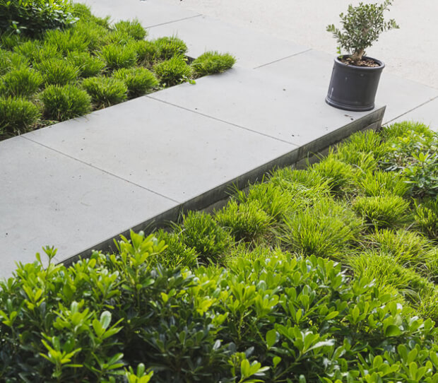 East Sheen Front Garden - thumbnail