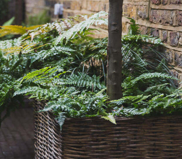 Tite Street Chelsea - thumbnail