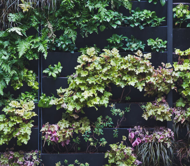 Mayfair Exclusive Office Courtyard - thumbnail