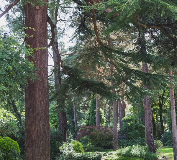 Virginia Water Large Private Estate - thumbnail