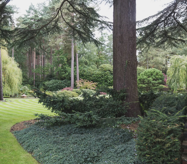 Virginia Water Large Private Estate - thumbnail