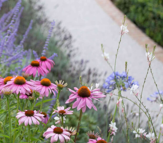 Hampstead, Large Luxury Back Garden - thumbnail