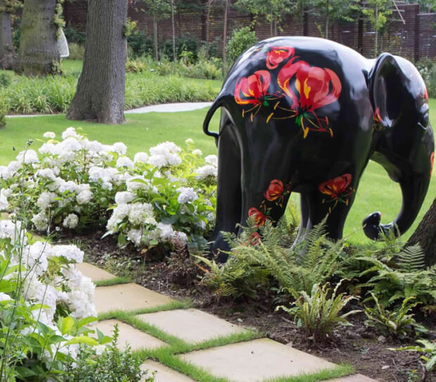 Hampstead, Large Back Garden - thumbnail