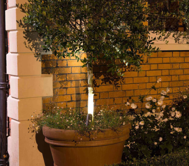 Wimbledon Large Back Garden - thumbnail