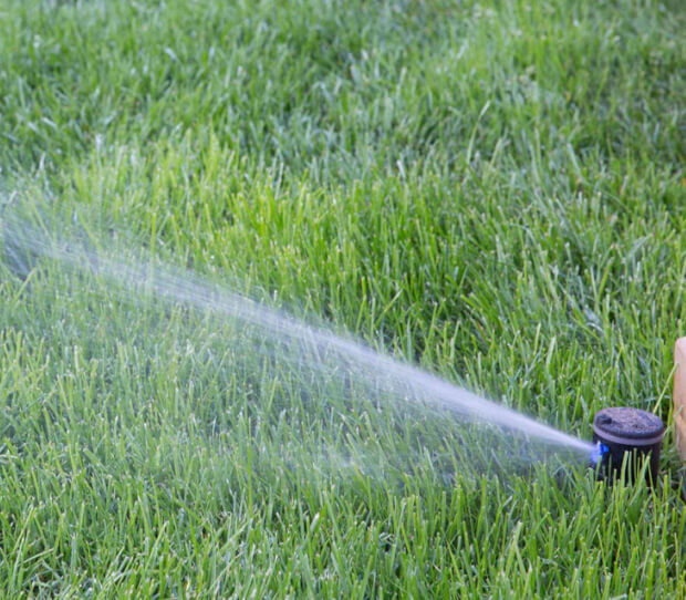 Wimbledon Large Back Garden - thumbnail