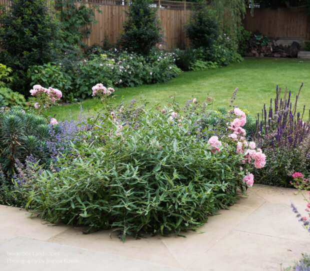 West Putney Traditional Garden 4 - thumbnail