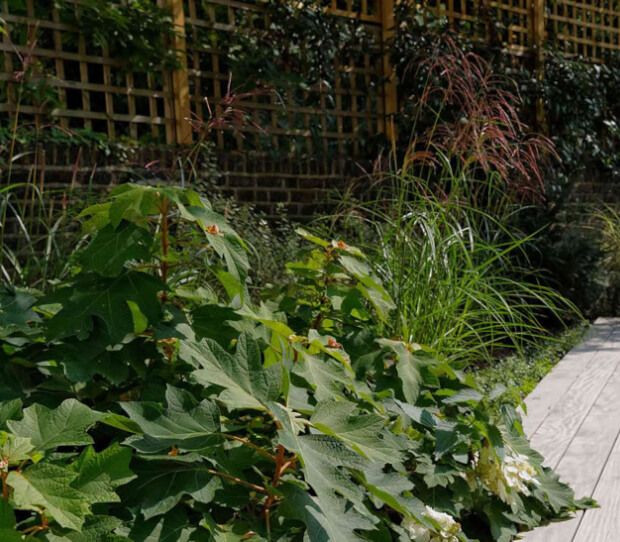 St John's Wood Large Back Garden - thumbnail