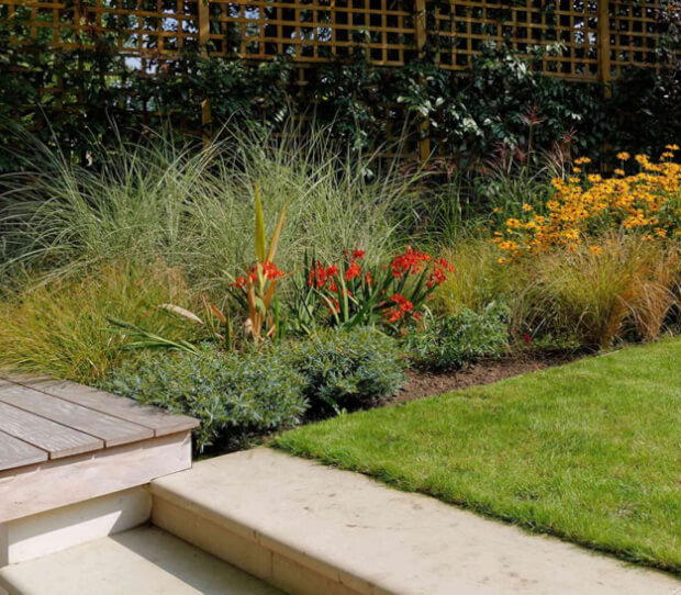 St John's Wood Large Back Garden - thumbnail