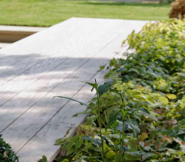 St John's Wood Large Back Garden - thumbnail