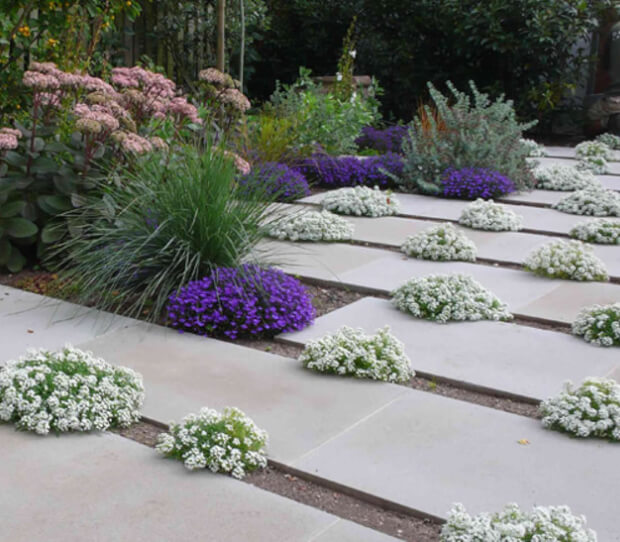 Richmond, Large Back Garden - thumbnail