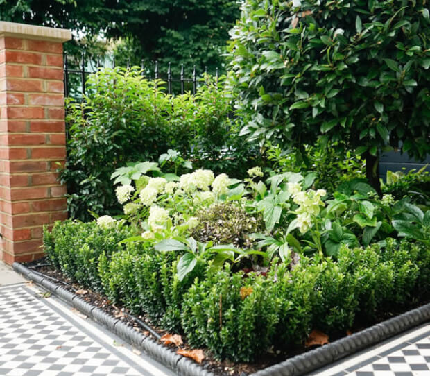 balham front garden 2 - thumbnail