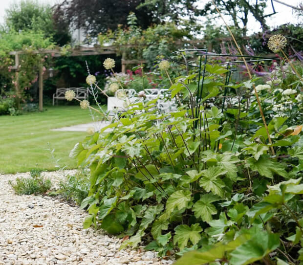 Putney Traditional Garden 1 - thumbnail