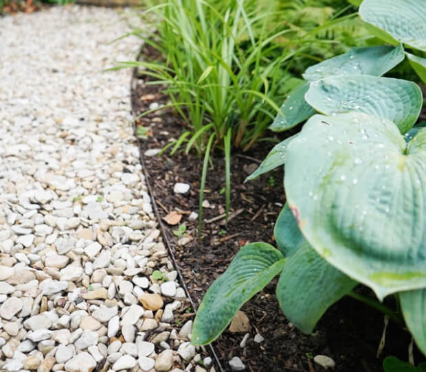 Putney Traditional Garden 4 - thumbnail