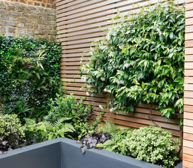 Richmond Courtyard Garden 4 - thumbnail