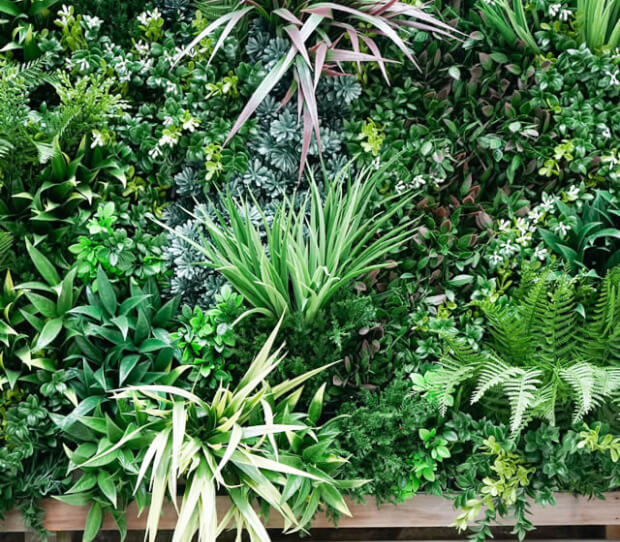 Richmond Courtyard Garden 7 - thumbnail