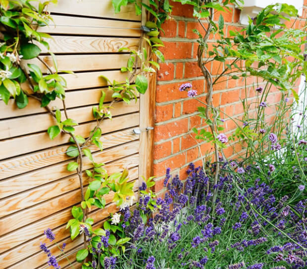 Wandsworth LFG 3 - thumbnail