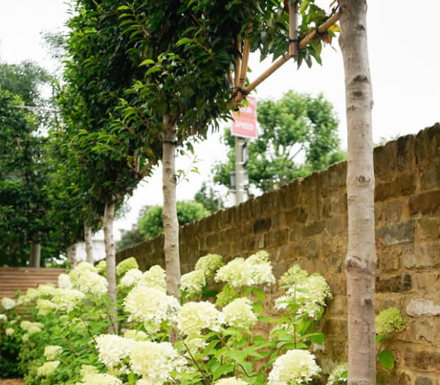 Wandsworth LFG 7 - thumbnail