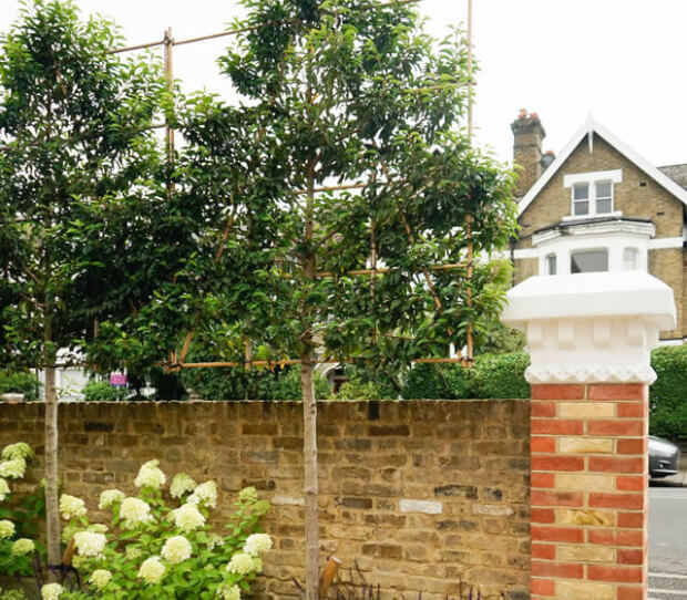 Wandsworth LFG 8 - thumbnail