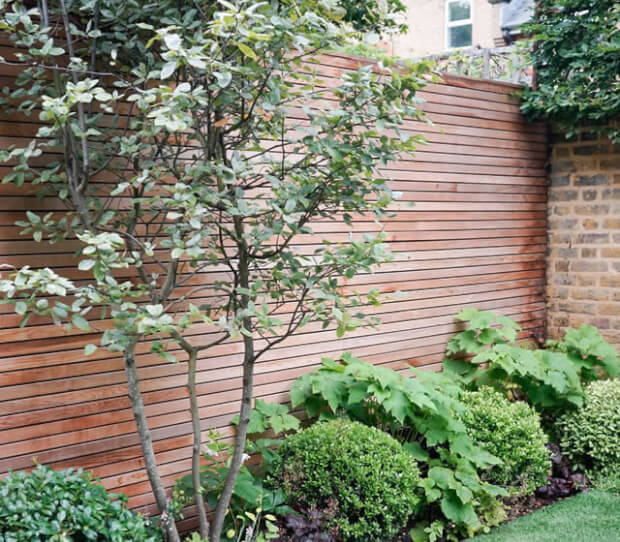 Balham Low Maintenance Garden 8 - thumbnail