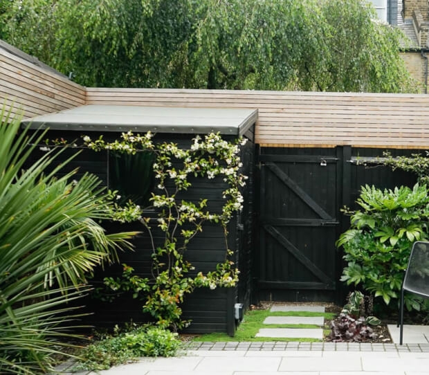 Sheen Tropical 2 - thumbnail