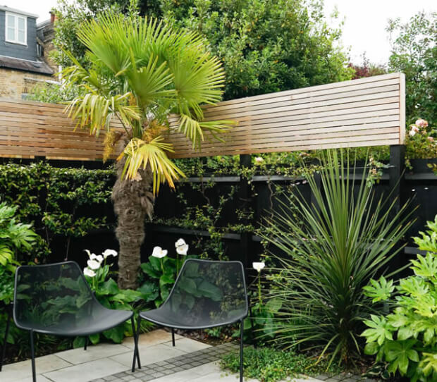 Sheen Tropical 5 - thumbnail