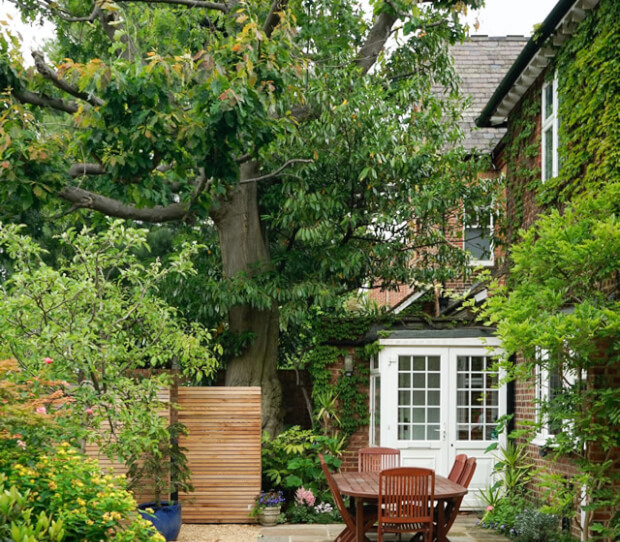 Wimbledon Village Front Garden Drive 3 - thumbnail