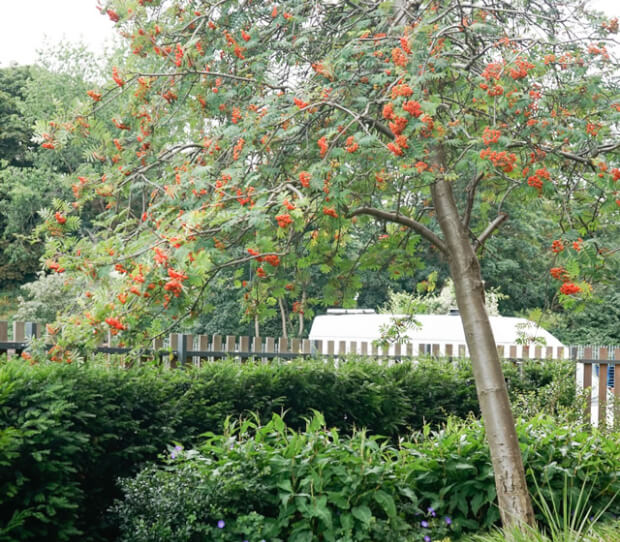 Isleworth Commercial Offices 2 - thumbnail