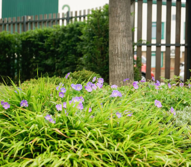 Isleworth Commercial Offices 7 - thumbnail