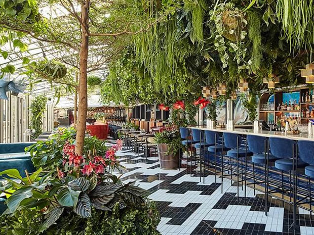 Sushisamba 2 - thumbnail