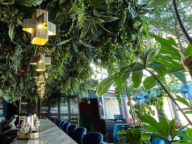 Sushisamba 4 - thumbnail